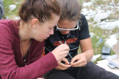 uzorkovanje toksina / toxin sampling 